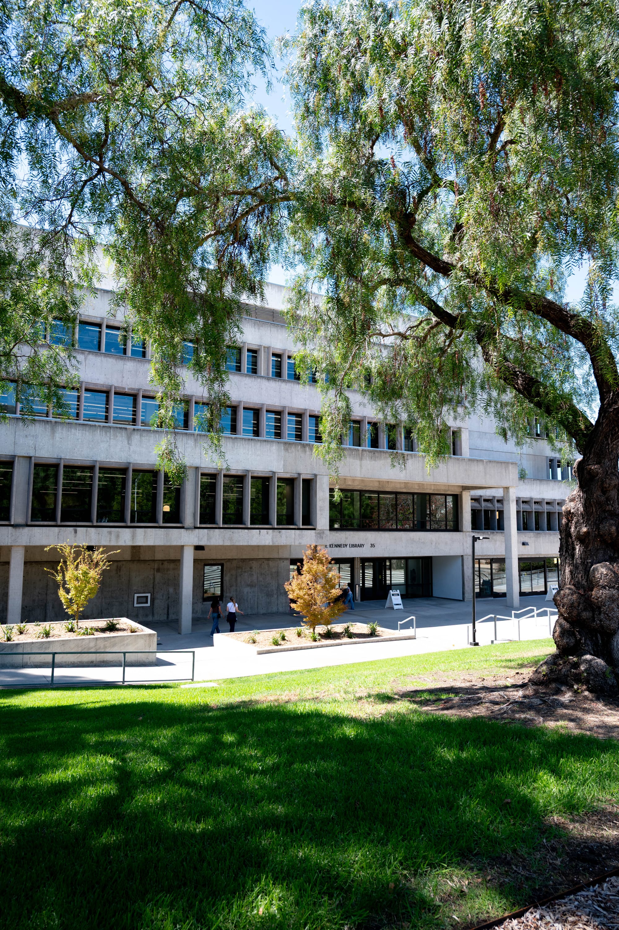 75: LIBRARY OPEN